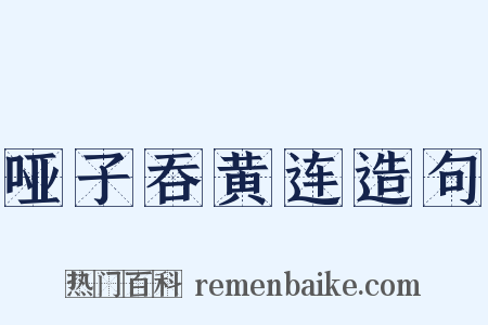 哑子吞黄连造句是什么意思的图片